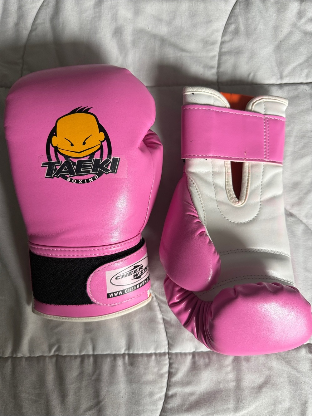 Pink Taeki Boxing Gloves
